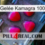 Gelée Kamagra 100 13